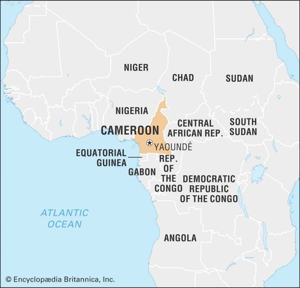🇨🇲 Offer for Mobile Transfer in Cameroon